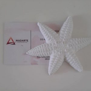 GESSO| ESTRELA DO MAR  8X8CM