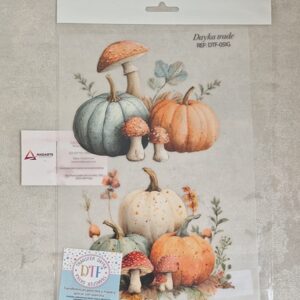 TRANSFER DTF| ABÓBORAS  20X28.5CM