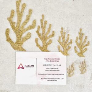 CONJUNTO ALGAS TERMO FIXÁVEIS