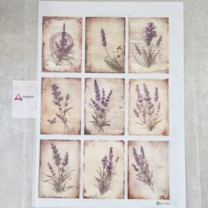 TRANSFER PRO LAVANDA ALFAZEMA  A4