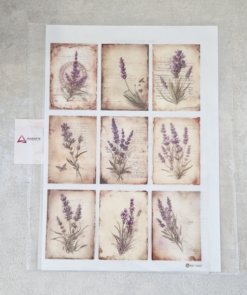 TRANSFER PRO LAVANDA ALFAZEMA A4