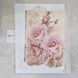 TRANSFER PRO ROSAS  A4