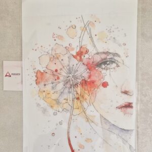 TRANSFER| COLOR TRANSFER 003 27X21CM