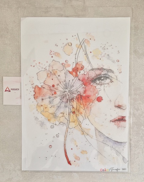 TRANSFER| COLOR TRANSFER 003 27X21CM