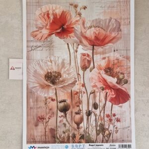 PAPEL DE ARROZ SOFT A3- 5966- 30X41CM