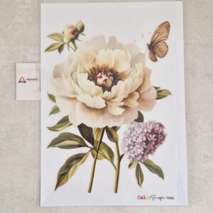 TRANSFER| COLOR TRANSFER 27X21CM