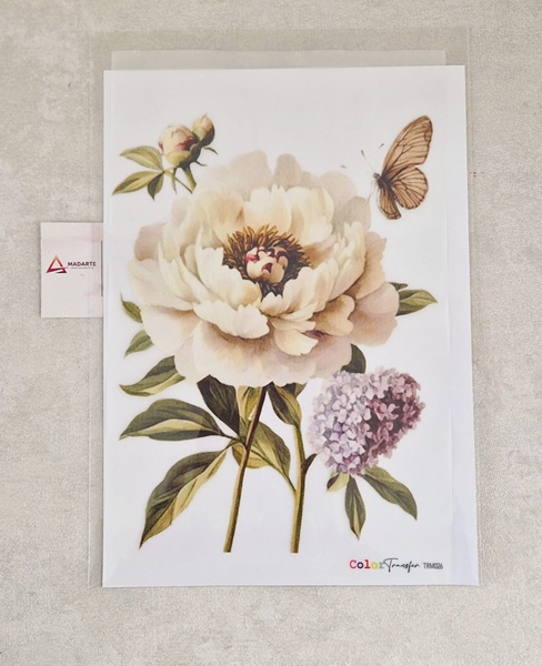 TRANSFER| COLOR TRANSFER 27X21CM